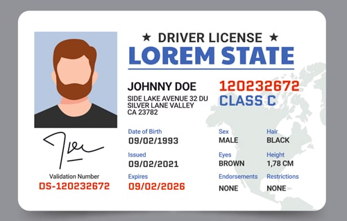 Fake Drivers License